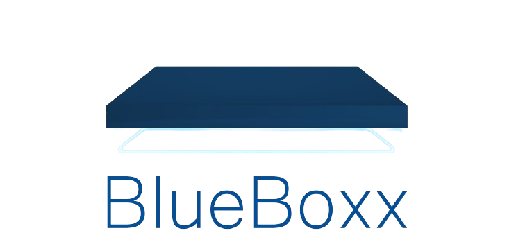 Logo_Blueboxx_Original 2048x925 removebg preview